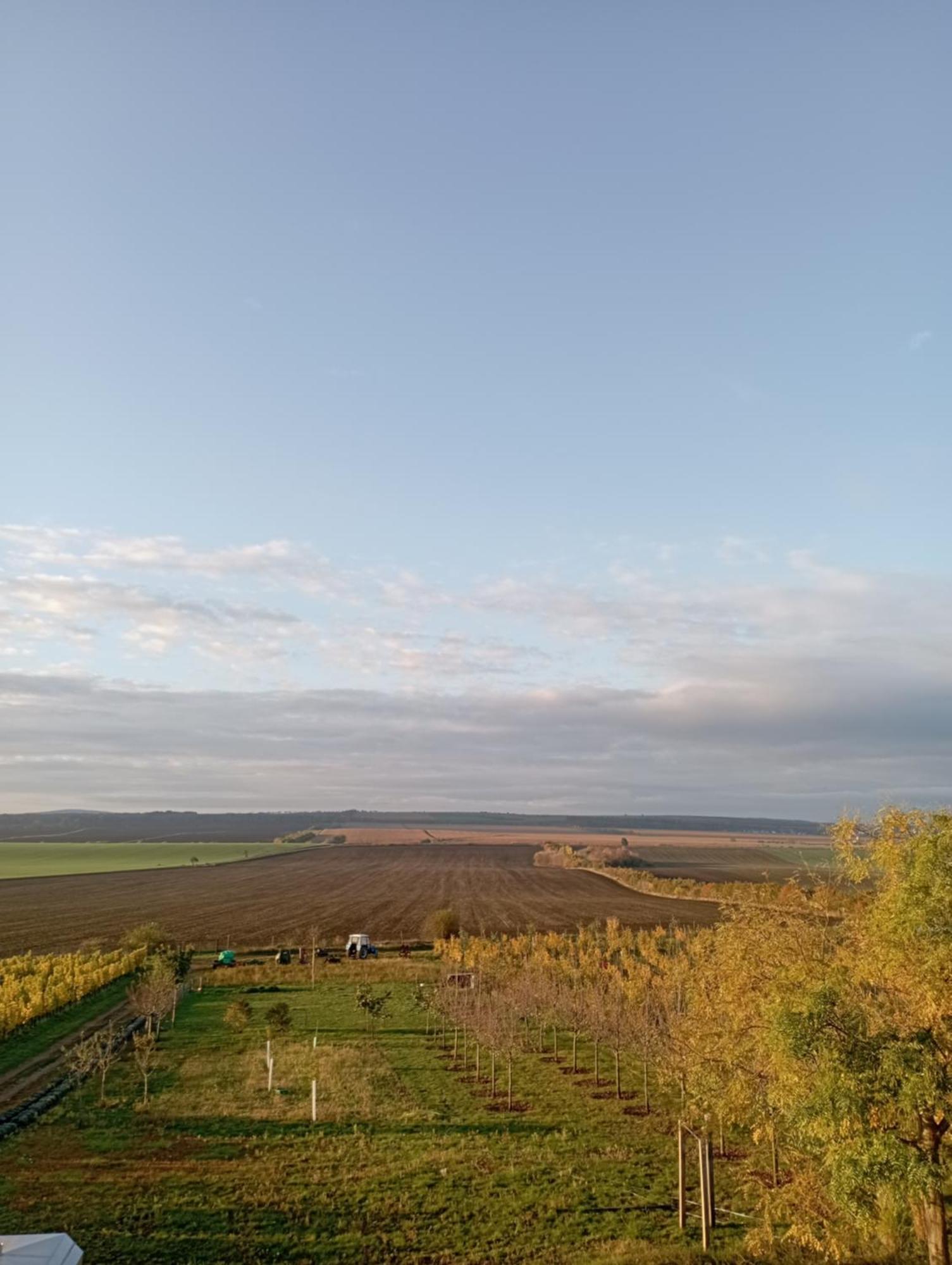Vinarsky Penzion Strachotice ภายนอก รูปภาพ